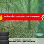 XUẤT KHẨU CAO SU CÙNG VIETAVIATION