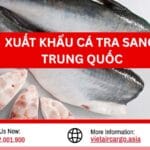 Xuất Khẩu Cá Tra Sang Trung Quốc Thủ Tục Nhanh Gọn