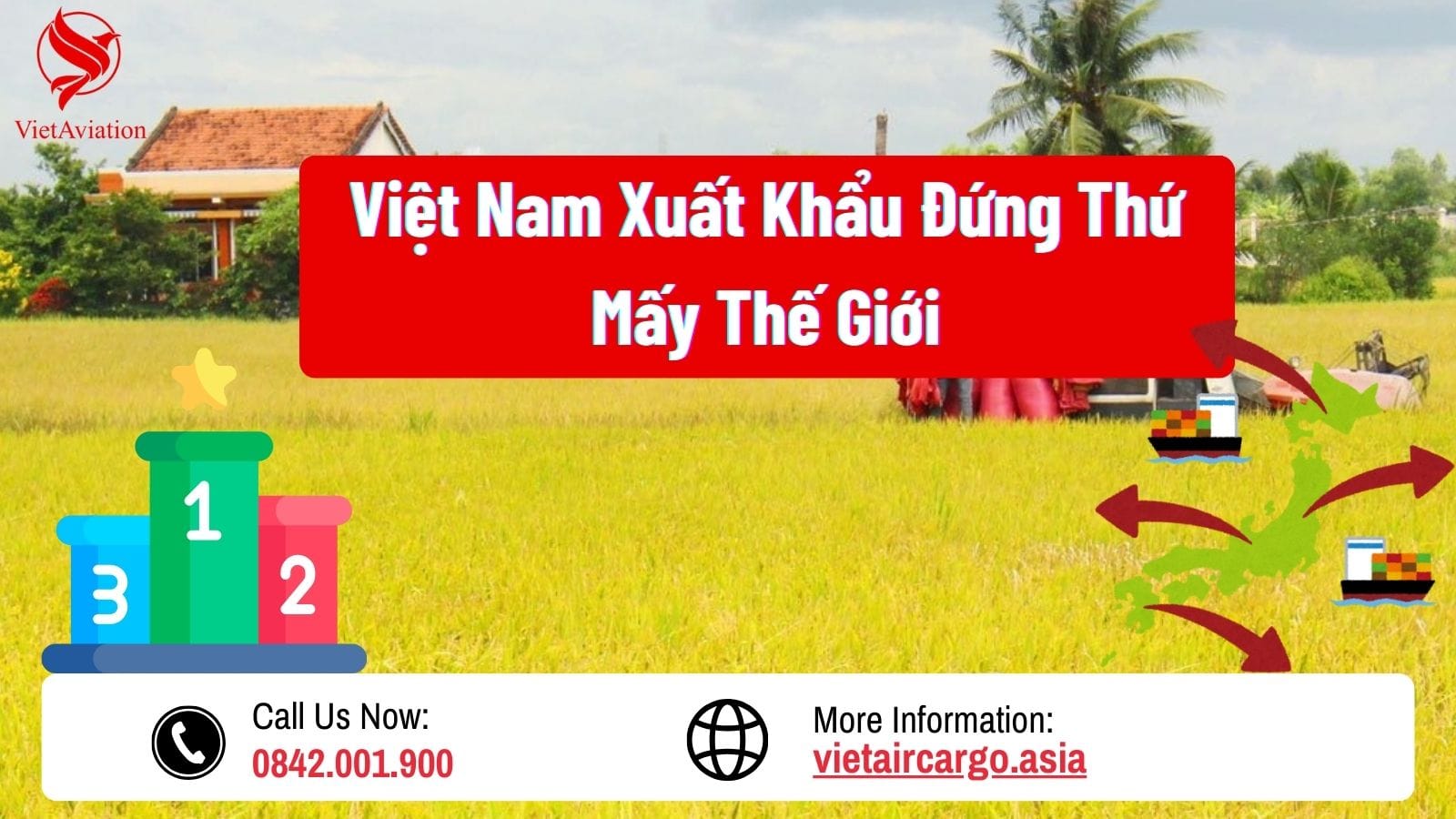 Xuất Khẩu Gạo