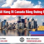 Gửi Hàng Đi Canada Bằng Đường Biển Nhanh Chóng Giá Rẻ