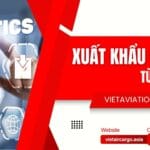 Xuất Khẩu Đồ Chơi Từ Việt Nam