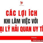 Các Lợi Ích Khi Làm Việc Với Đại Lý Hải Quan Uy Tín