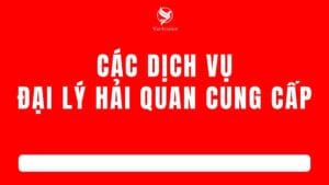 Các dịch vụ đại lý hải quan cung cấp