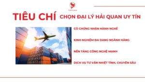Tiêu chí chọn Đại lý Hải Quan uy tín