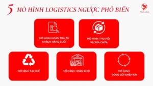 5 Mô Hình Logistics Ngược Phổ Biến