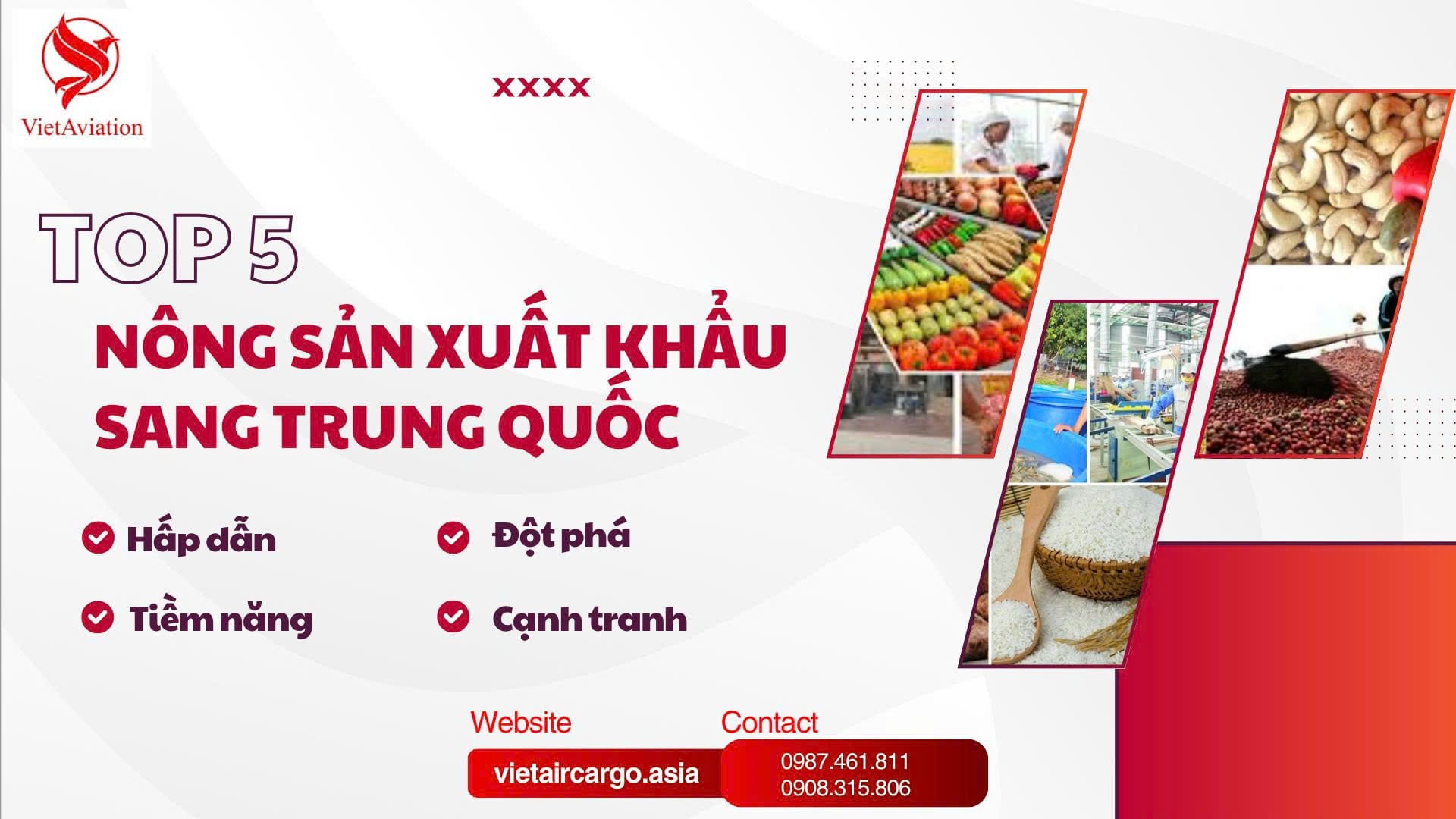 Nông sản xuất khẩu sang Trung Quốc