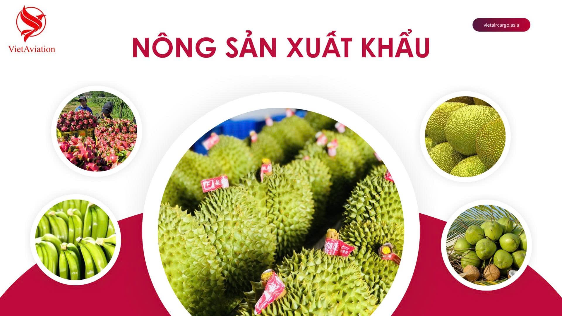 Nông sản xuất khẩu