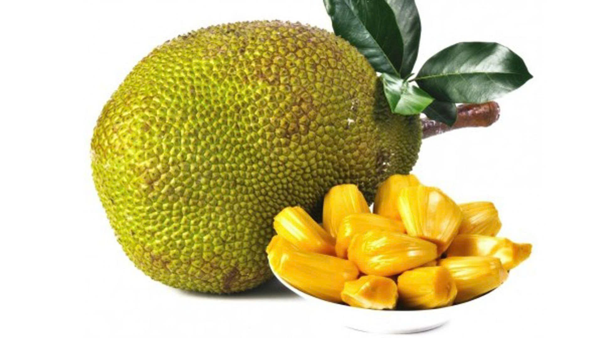 Mít Việt xuất khẩu