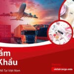 Mỹ Phẩm Nhập Khẩu Và Cơ Hội Bùng Nổ Tại Việt Nam