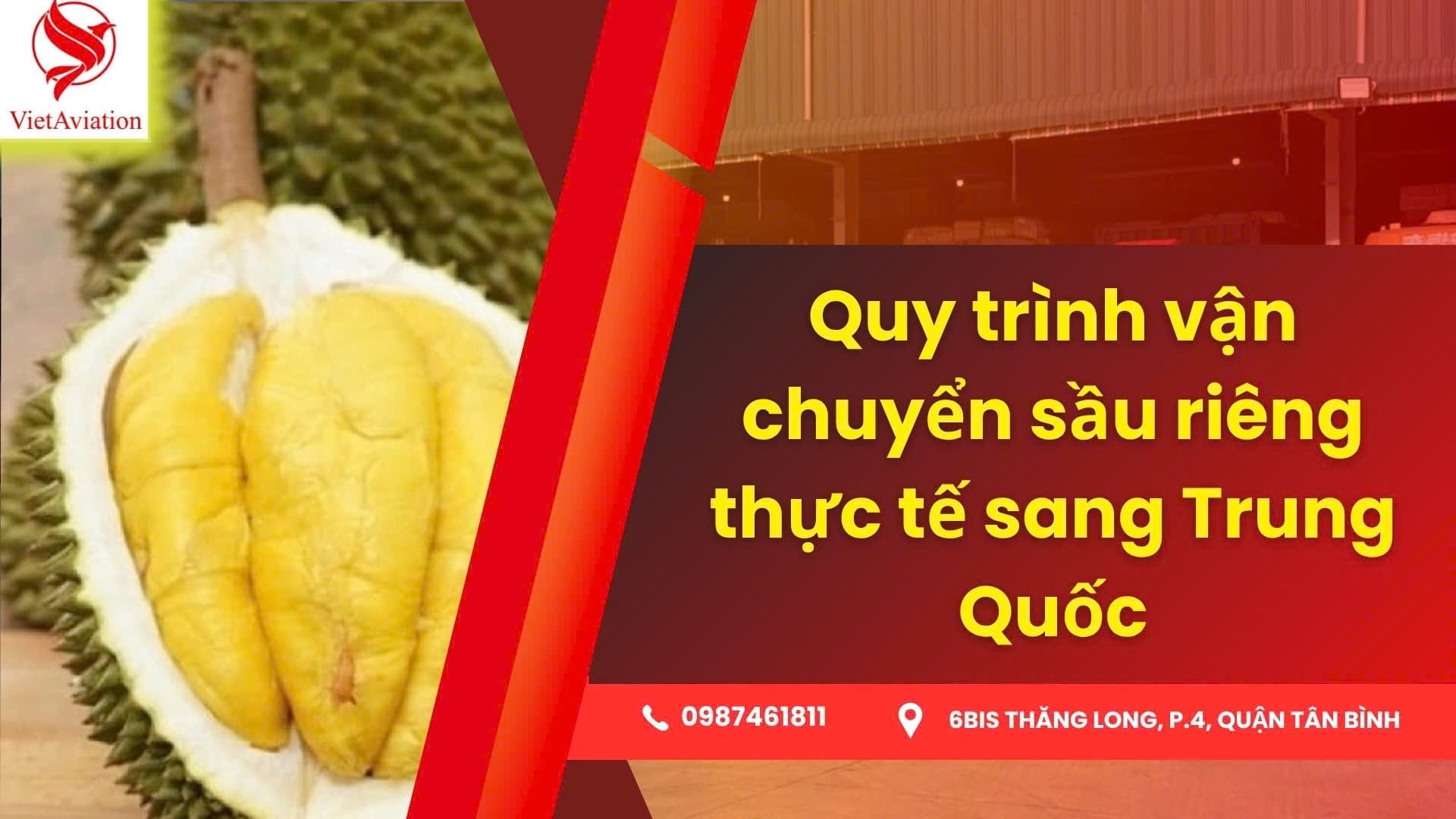 Quy trình vận chuyển sầu riêng