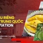 Gửi Sầu Riêng Sang Trung Quốc VietAviation