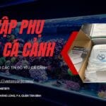Phụ Kiện Cá Cảnh – Nhập Hàng Trung Quốc Siêu Đơn Giản