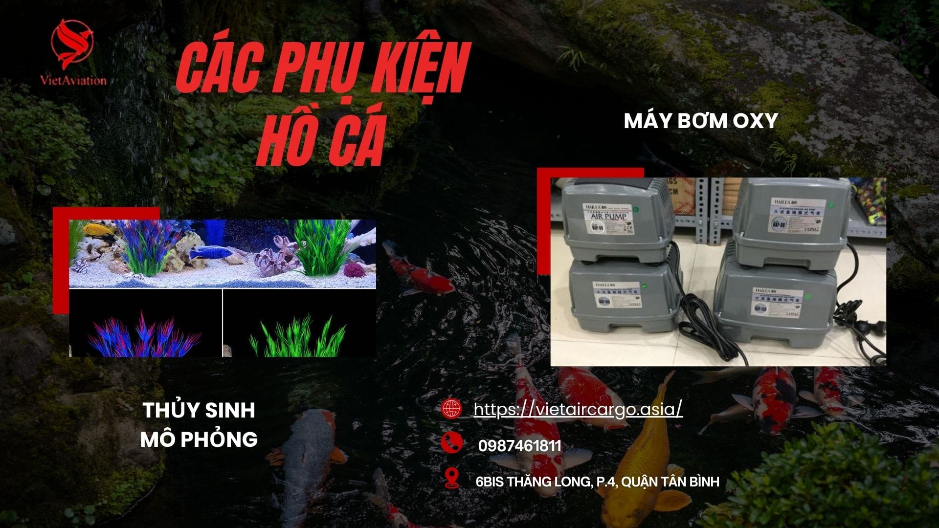 Các phụ kiện hồ cá phổ biến