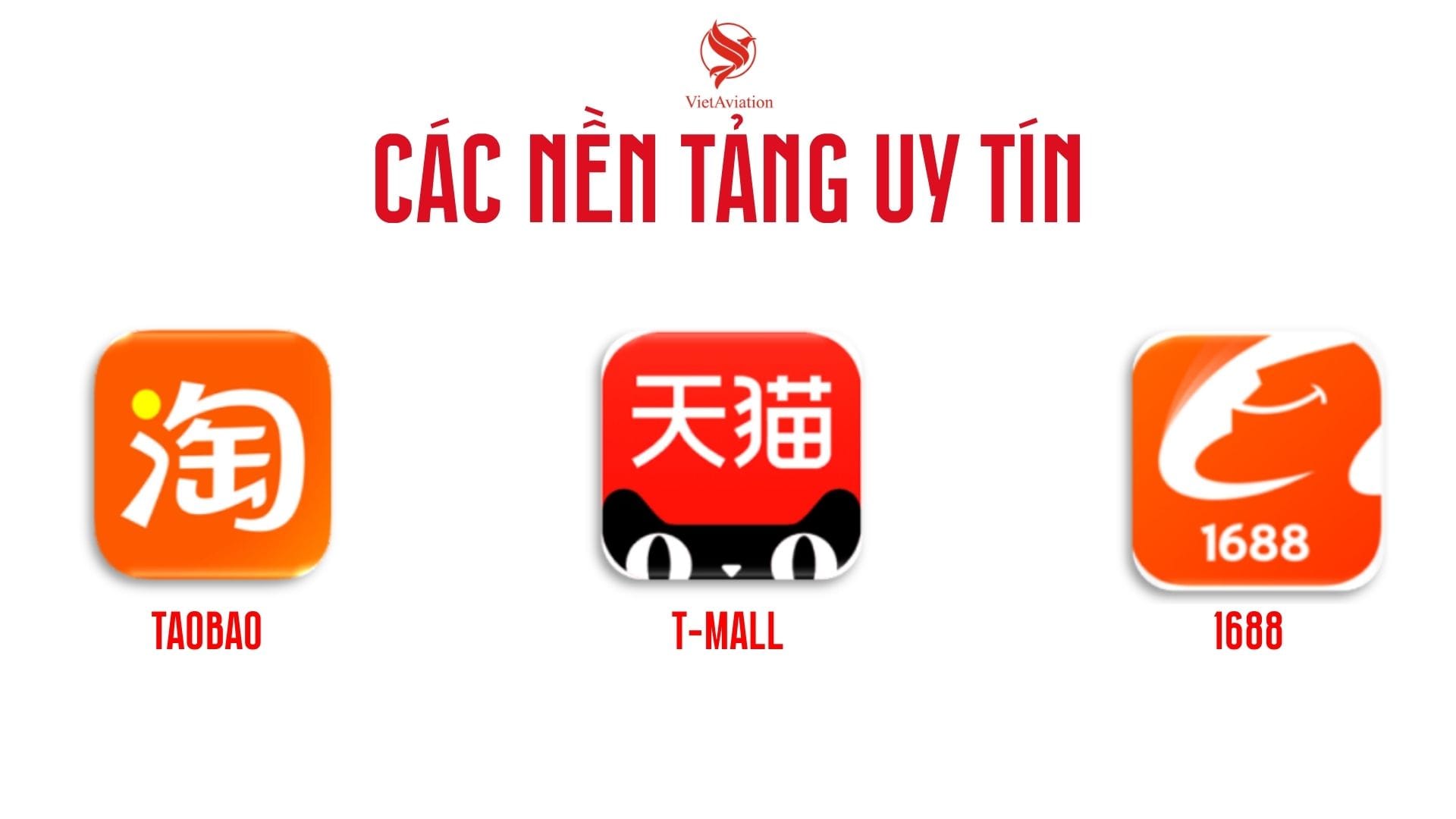Các nền tảng uy tín