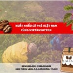 Tình Hình Xuất Khẩu Cà Phê 6 Tháng Đầu Năm 2025 Tại Việt Nam