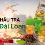 Xuất Khẩu Trà Sang Đài Loan: Cơ Hội Tỷ Đô Cho Trà Việt