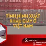 Xuất Khẩu Giày Việt Nam – Triển Vọng Năm 2025