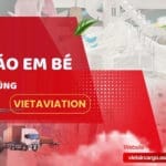 Quần Áo Em Bé Gửi Đi Nước Ngoài Tiết Kiệm Cùng VietAviation