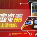 Máy Chơi Game Cầm Tay – Những Điều Cần Lưu Ý Khi Nhập Khẩu