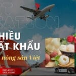 Vải Thiều Xuất Khẩu Chinh Phục Thị Trường Trung Quốc
