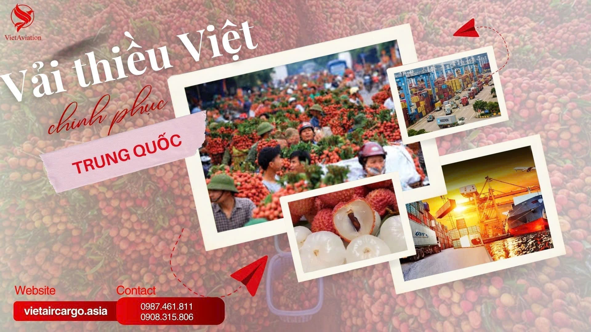 Vải thiều Việt chinh phục Trung Quốc