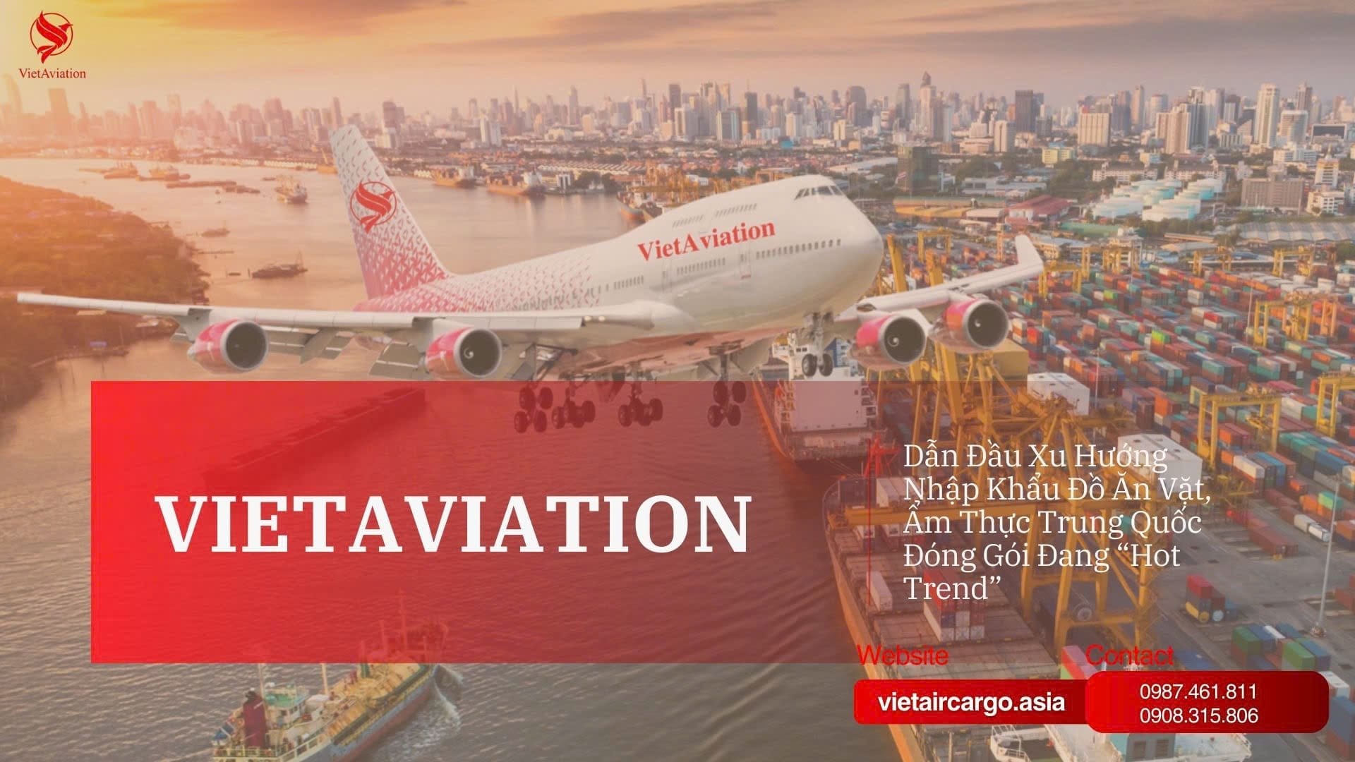 VietAviation Logistics