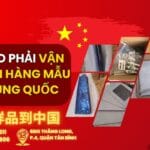 Gửi Hàng Mẫu Sang Trung Quốc: Xu Hướng Phổ Biến Hiện Nay