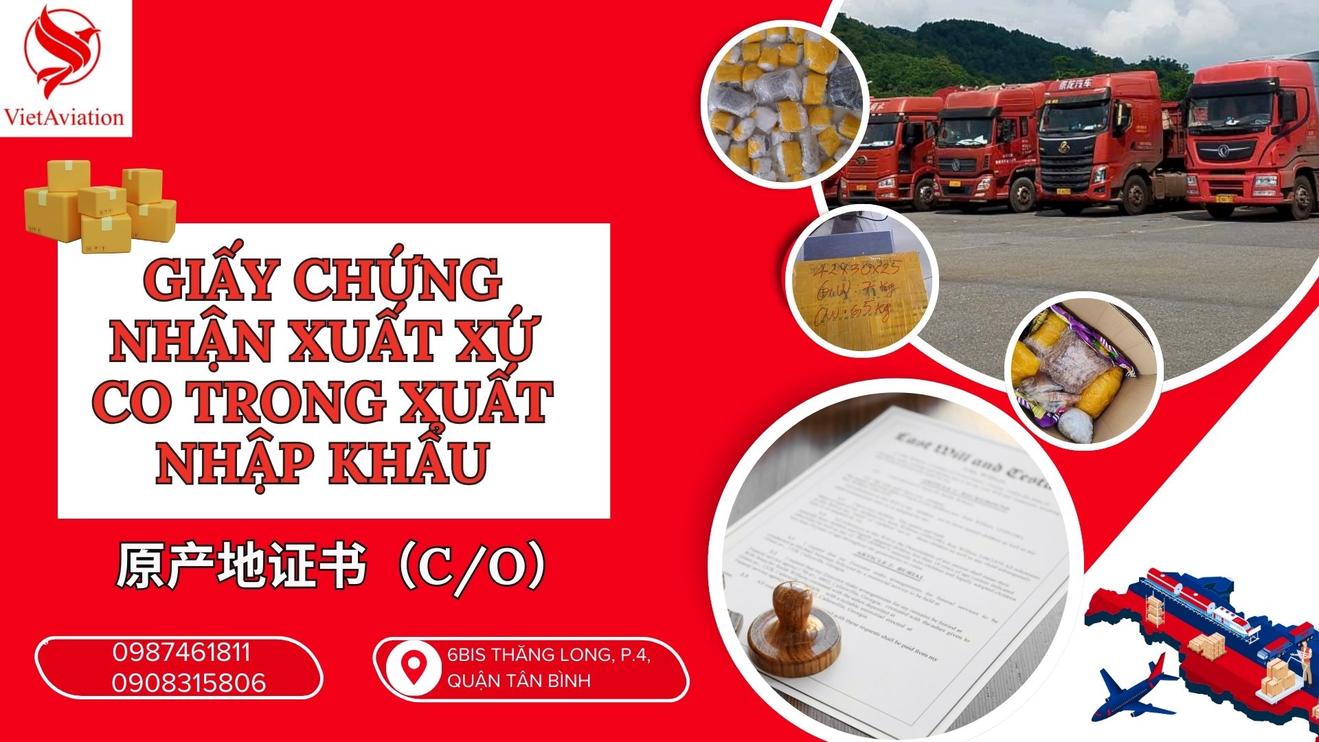 CO Trong Xuất Nhập Khẩu: Quyền Lợi, Hướng Dẫn Thủ Tục A-Z