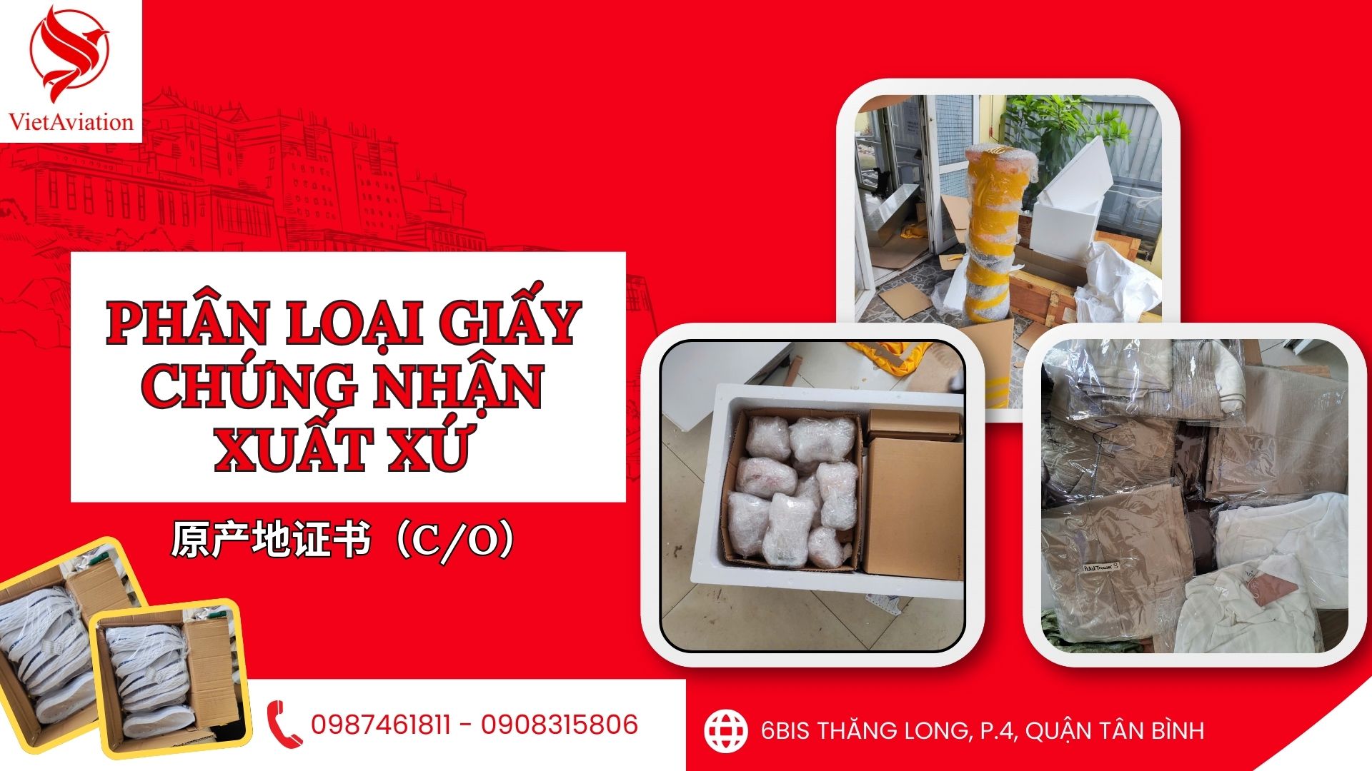 Phan-loai-co