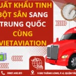 Xuất Khẩu Tinh Bột Sắn Sang Trung Quốc