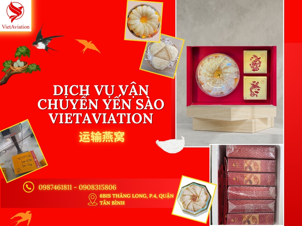 Vận Chuyển Yến Sào: Cơ Hội Kinh Doanh Và Chăm Sóc Sức Khỏe