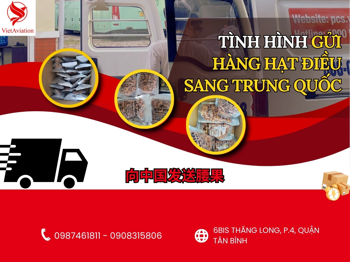 Xu thế xuất khẩu hạt điều trên thế giới hiện nay