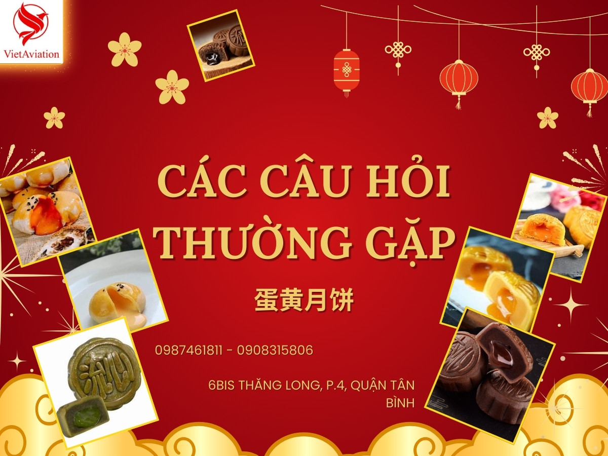 Các câu hỏi thường gặp