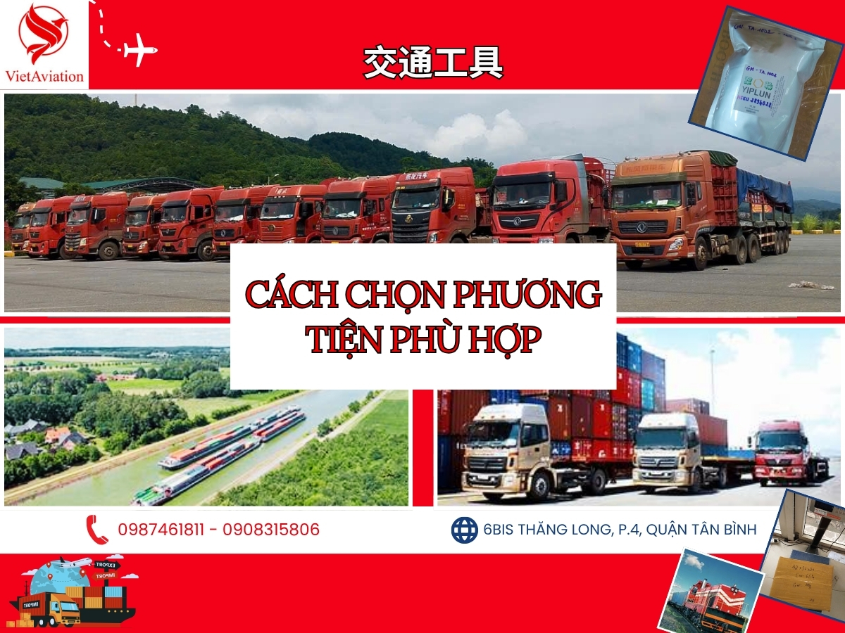 Phương Tiện Vận Tải: “Chìa Khóa” Tối Ưu Chi Phí