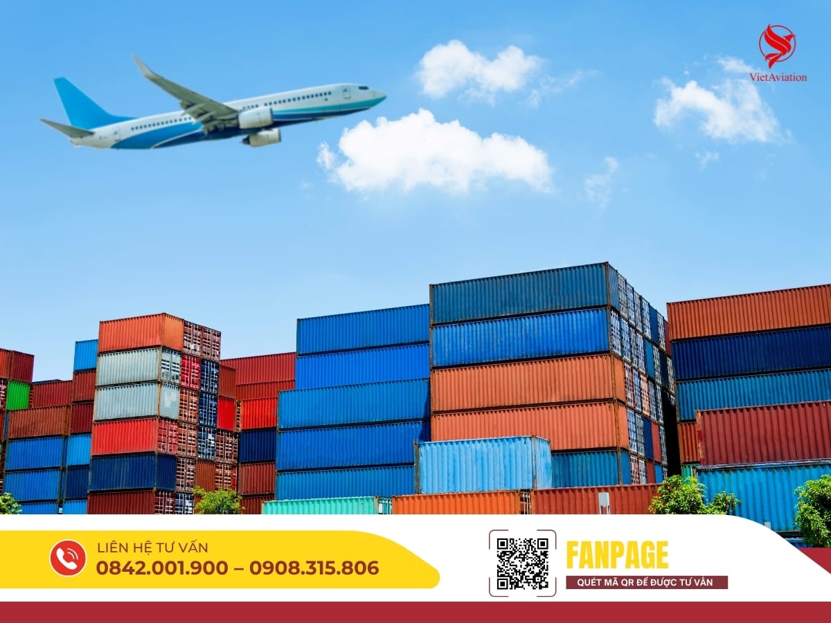Bãi container tại cảng biển, sẵn sàng bốc xếp và phân phối hàng hóa.