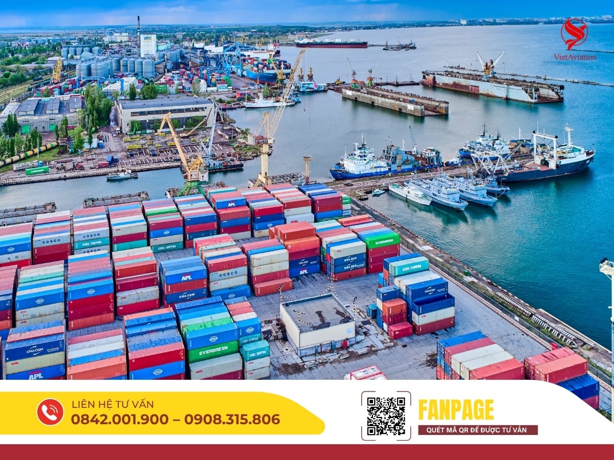 Cảng biển nhộn nhịp bốc xếp container, điều phối tàu và xe.