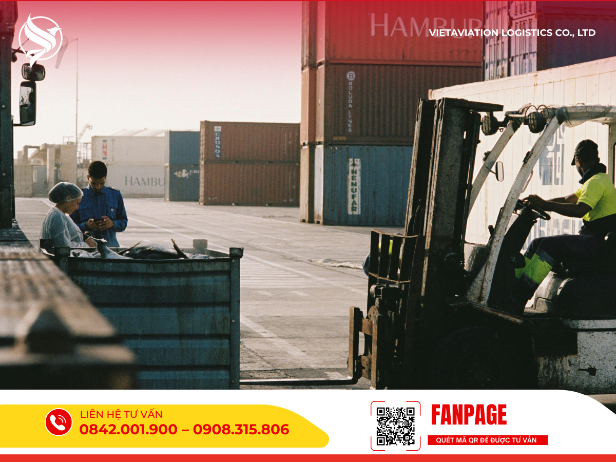 Sự phức tạp và áp lực vận hành trong chuỗi cung ứng thực tế.