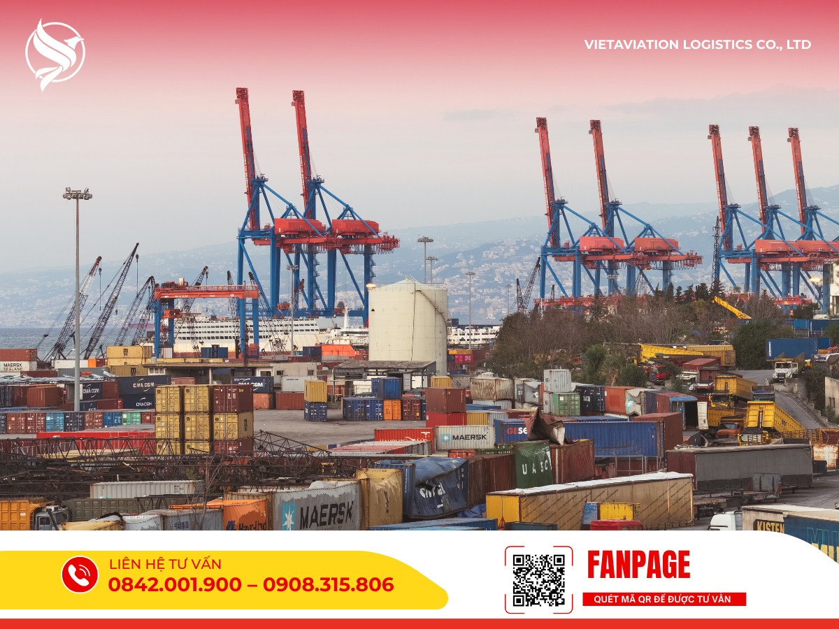 Toàn cảnh cảng trung chuyển quốc tế nhộn nhịp với hệ thống cần cẩu và container.