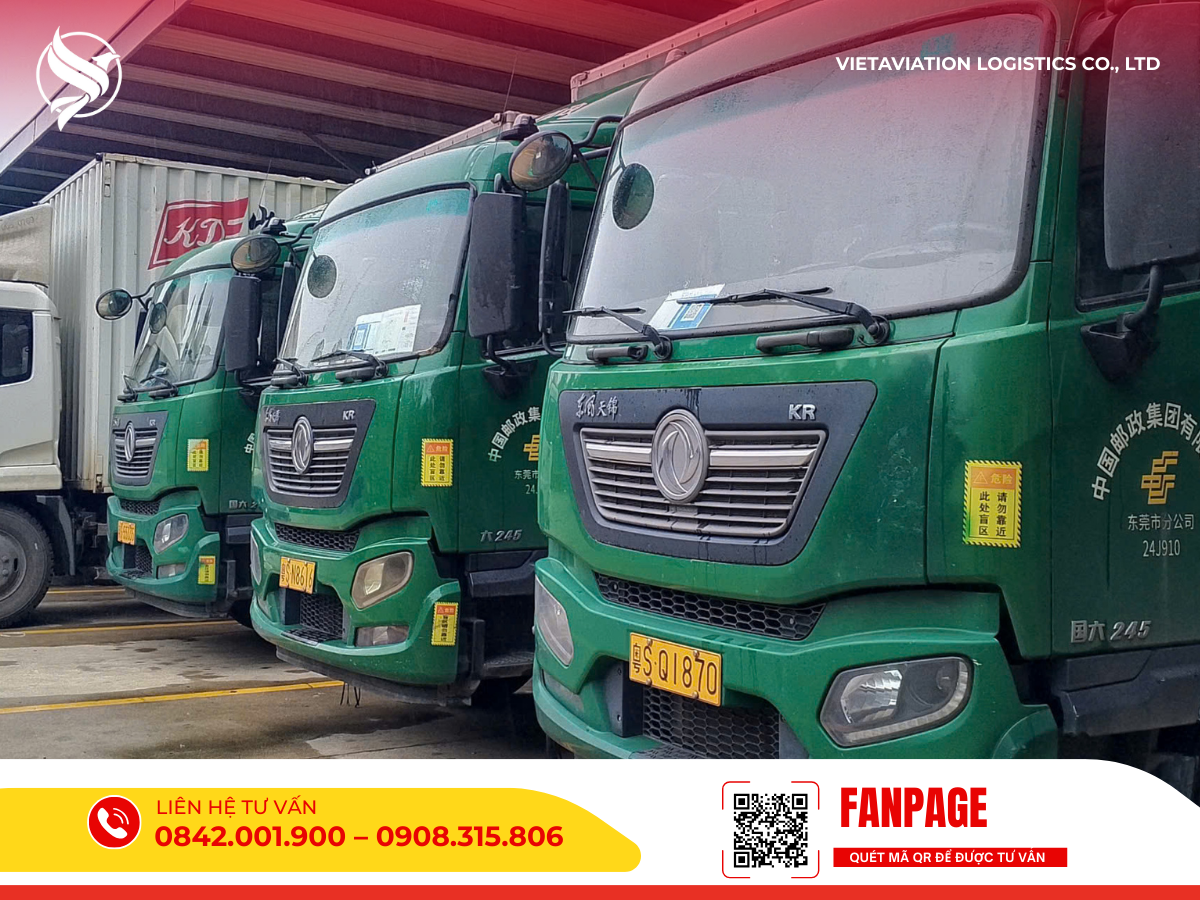 Quy mô và sự liên kết chặt chẽ của chuỗi cung ứng hàng hóa từ Việt Nam sang Mông Cổ.