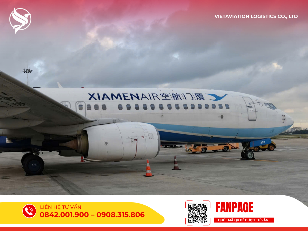 Năng lực khai thác tuyến bay từ Hà Nội và TP.HCM đi Ulaanbaatar với lịch trình ổn định.