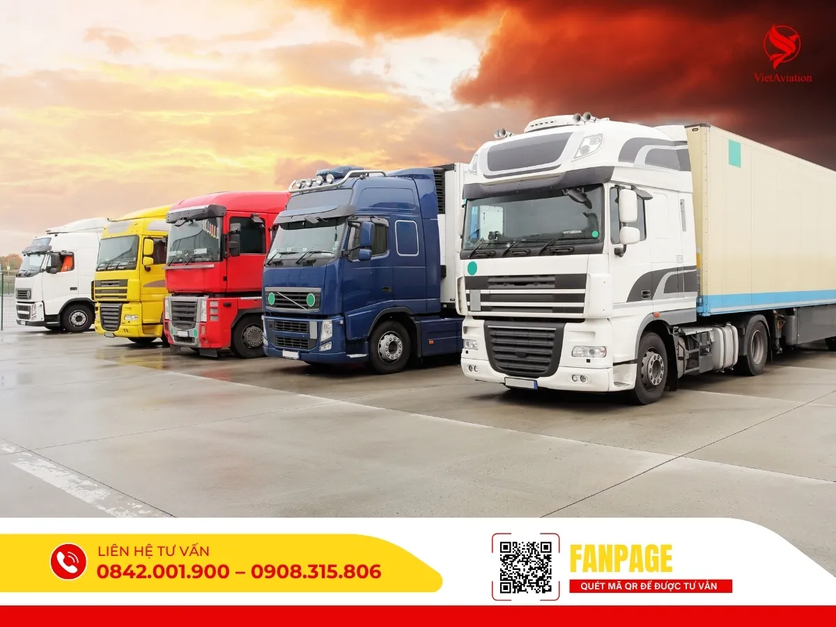 Cước đường biển từ Trung Quốc về Việt Nam lựa chọn thông minh