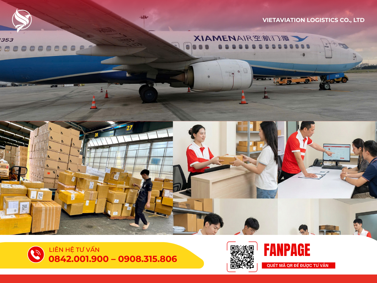 Hình ảnh tổng hợp quy trình dịch vụ hàng không trọn gói của VietAviation: từ chuyên viên tận tâm tư vấn chốt chuyến bay tại văn phòng, nhân viên kiểm đếm hàng hóa tại kho bãi, cho đến máy bay thương mại sẵn sàng cất cánh trên đường băng.