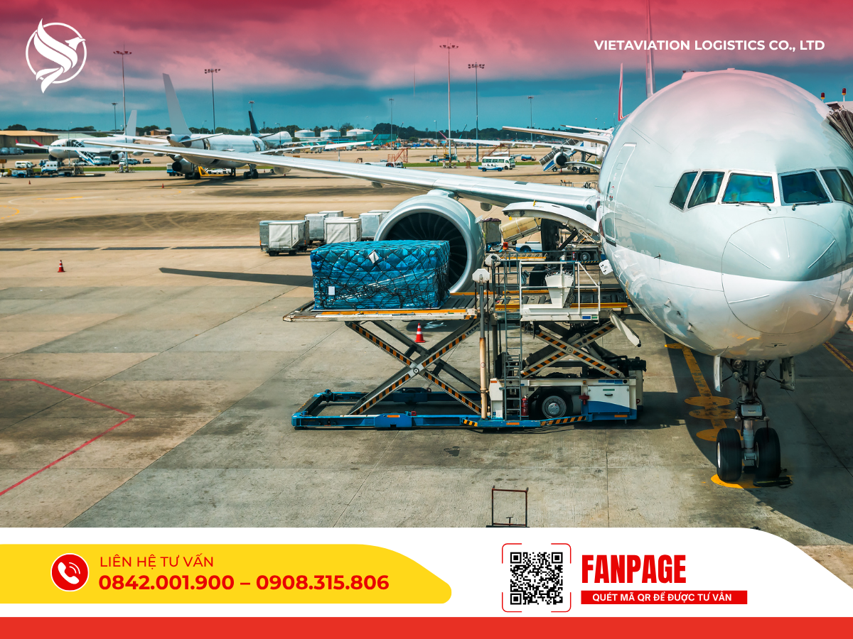 Các kiện hàng được xếp lên những phương tiện vận tải