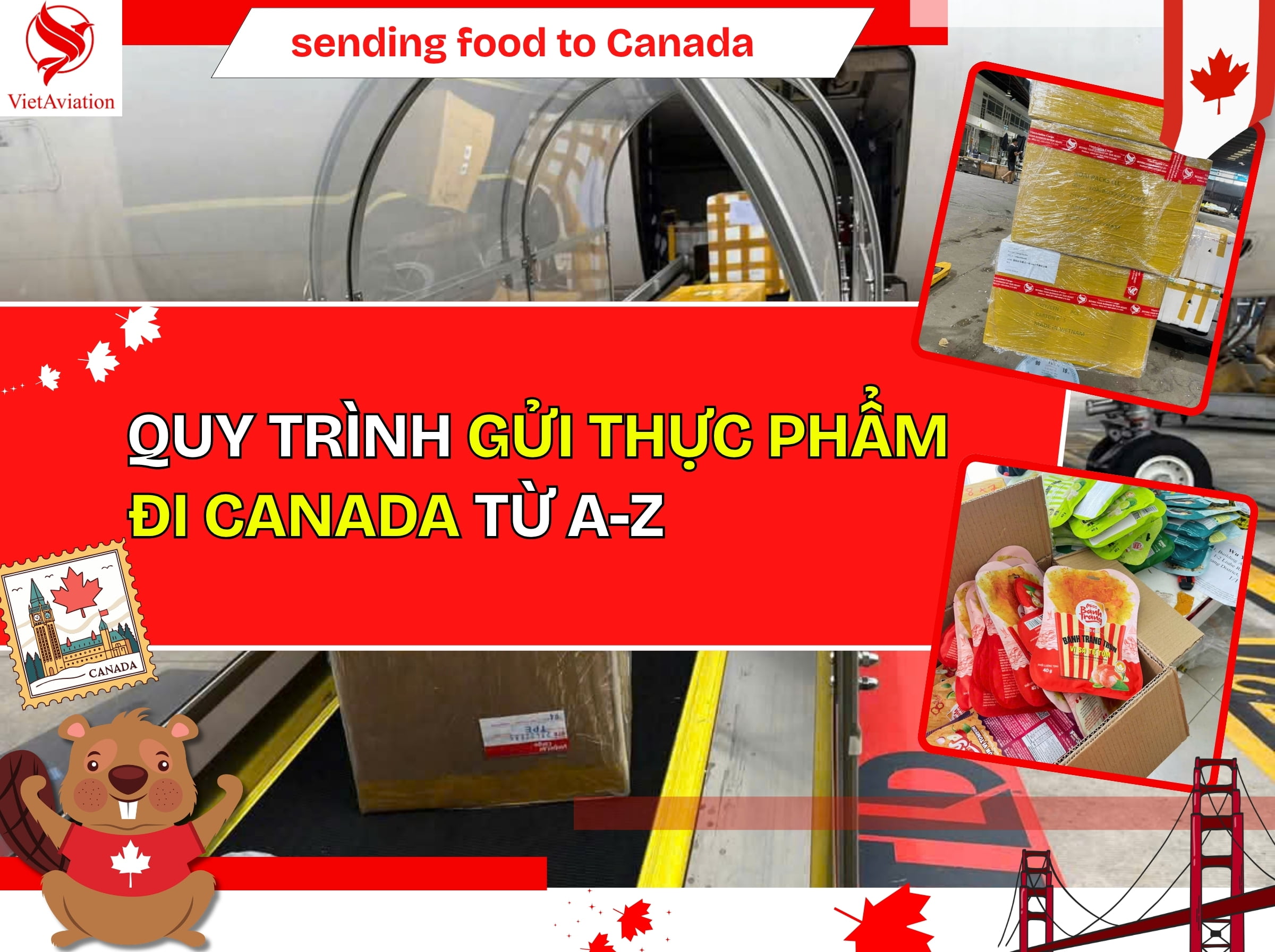 Quy trình gửi thực phẩm đi Canada mới nhất 2026