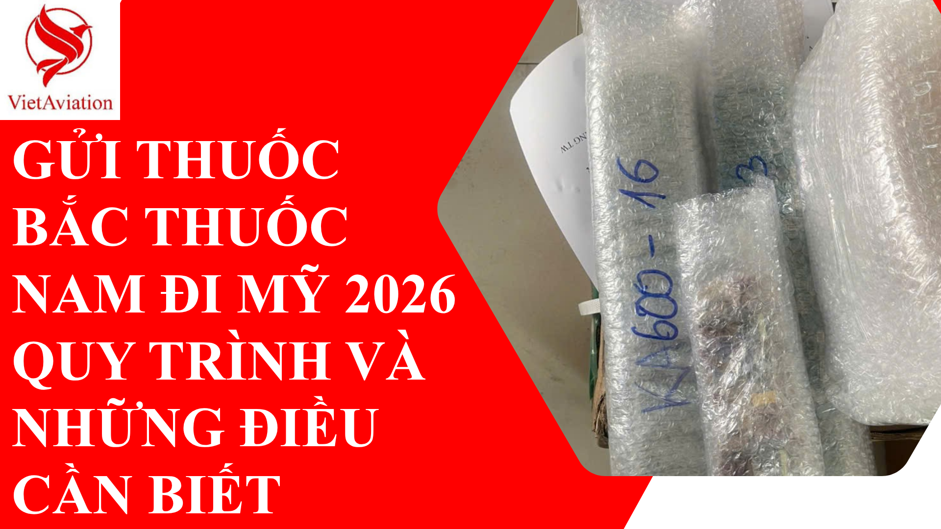 Thuốc Bắc Thuốc Nam Có Gửi Đi Mỹ Được Không? Điều Kiện Và Lưu Ý 2026