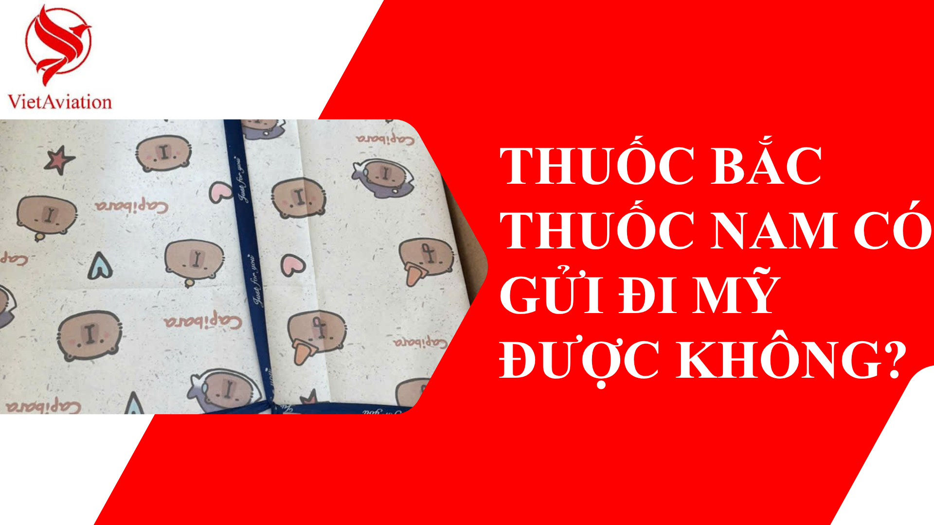 Thuốc Bắc Thuốc Nam