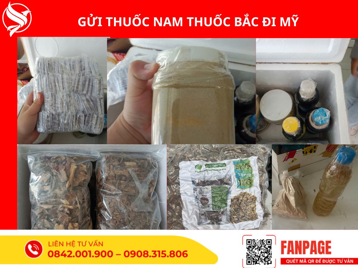Gửi hàng thuốc Nam thuốc Bắc đi Mỹ