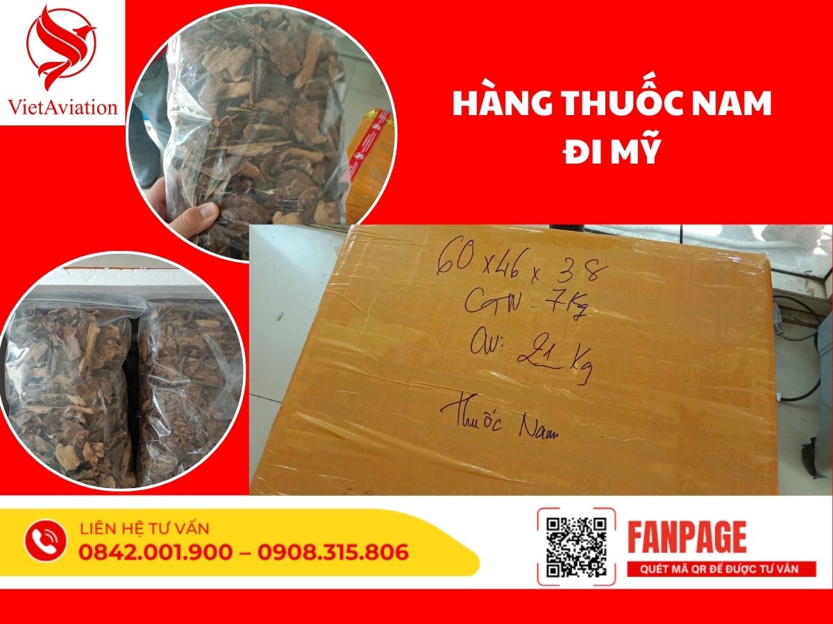 Hàng thuốc đi Mỹ