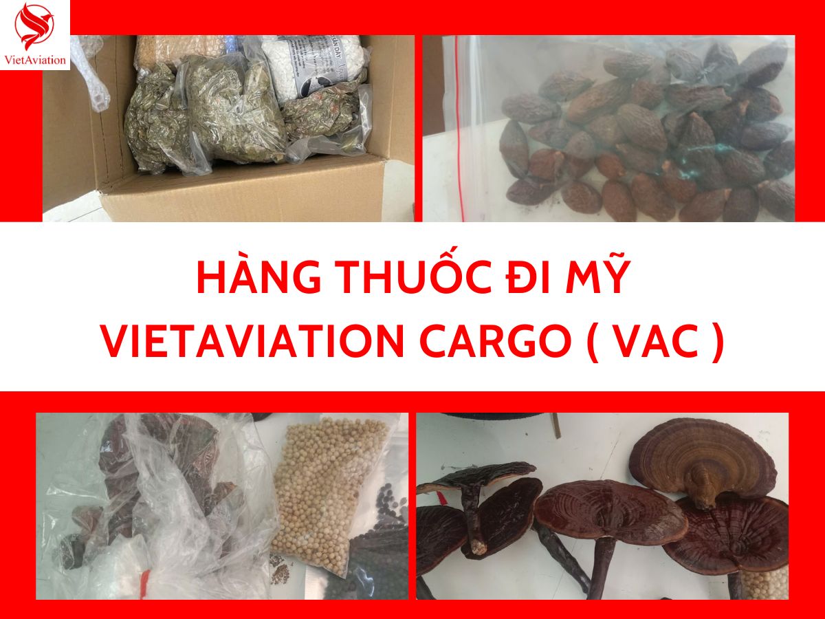 GỬI HÀNG ĐI MỸ TẠI QUẬN TÂN BÌNH cùng Vietaviation