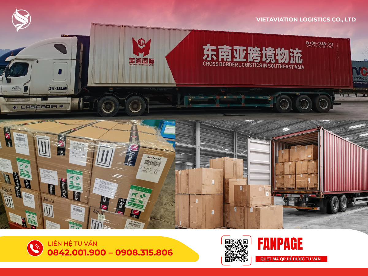 DỊCH VỤ GỬI HÀNG SANG TRUNG QUỐC GIÁ RẺ – UY TÍN: VIETAVIATION SỰ LỰA CHỌN SỐ 1